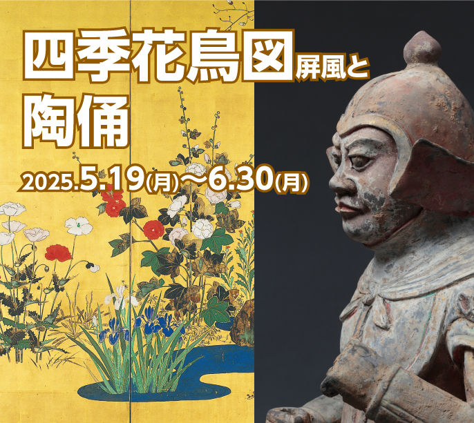5月6月の展示